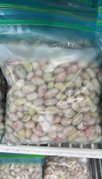 Pinto Beans - GLOBAL AGRICOL LTD - Kenya